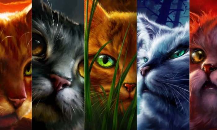 Warrior cats who is your mate quiz