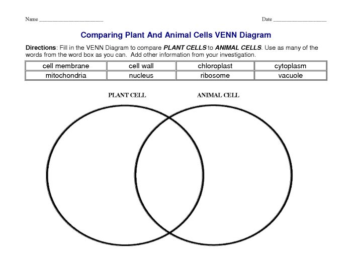 Animal diagram plant venn cells