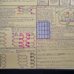 Biology eoc study guide answer key