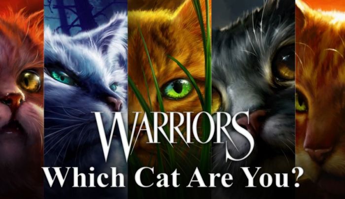 Warrior cats who is your mate quiz