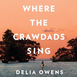 Imagery in where the crawdads sing