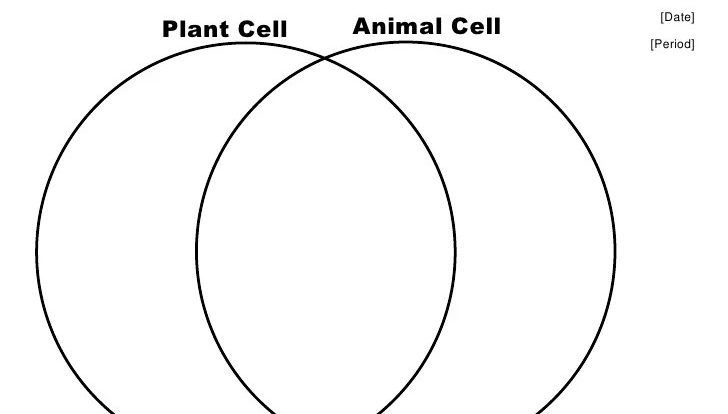 Venn diagram of a plant and animal cell