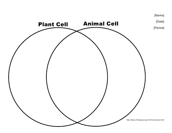 Venn diagram of a plant and animal cell