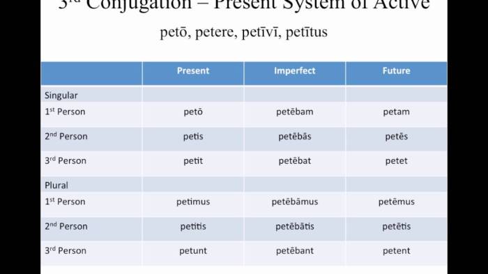 Part of latin 101 conjugation