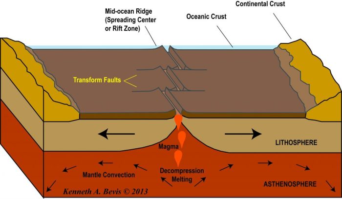 Identify the four tectonic settings of igneous activity.