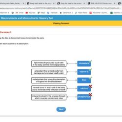 Function each match used field frame its options type final networks introduction questions version