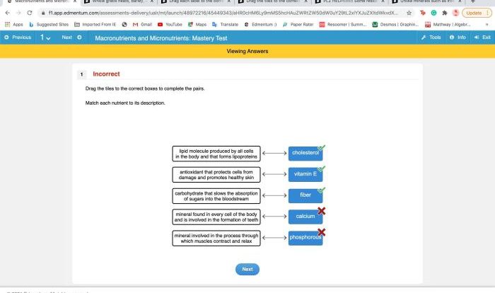 Function each match used field frame its options type final networks introduction questions version