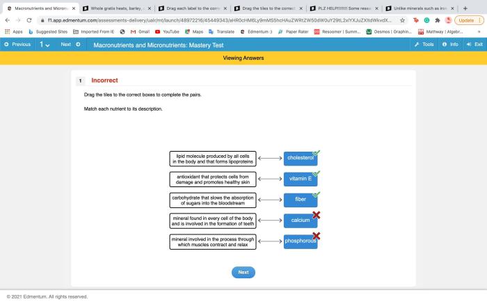 Function each match used field frame its options type final networks introduction questions version