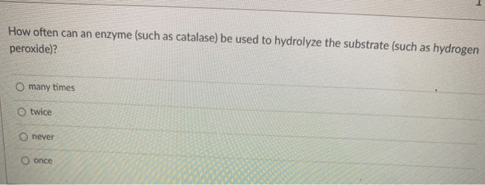 Catalase biomolecules belong socratic hydrogen beaker peroxide adding