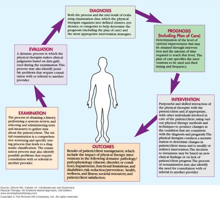 Louisiana physical therapy jurisprudence exam answers